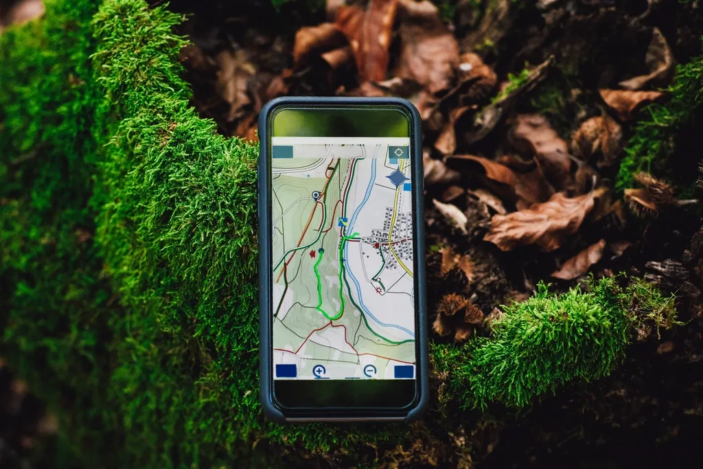 Celular con un mapa de ubicación sobre musgo y hojas en la selva